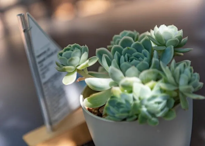 Hotell Le Relais D'agay 3*